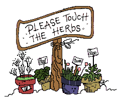 Special herbs