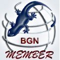 Web Designers Directory member : Blue Gecko Network