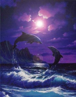 Dolphins playing