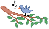 Little bird