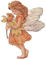 Fairy