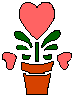 Flower pot