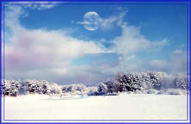 Winter Moon