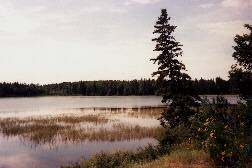 Pine Lake