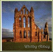 Whitby Abbey in the sun